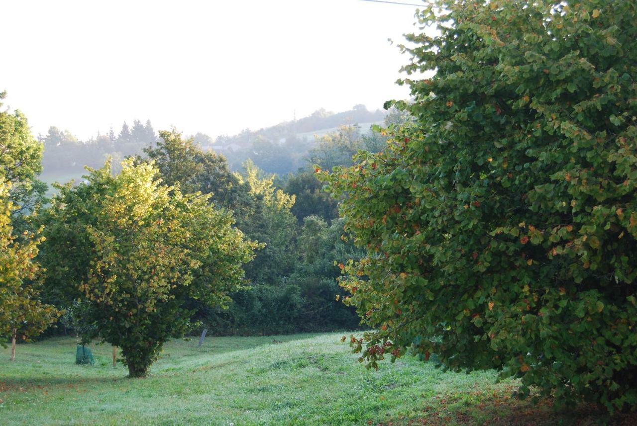 Apartamento Il Paradiso Monolocale